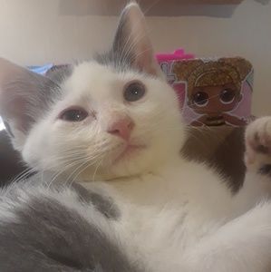 Meet your Posher, Robin